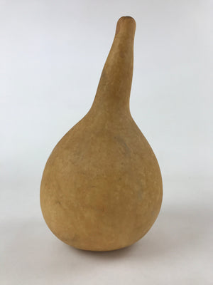 Japanese Natural Hyotan Gourd Vtg Sake Bottle Lucky Charm Large Calabash G251