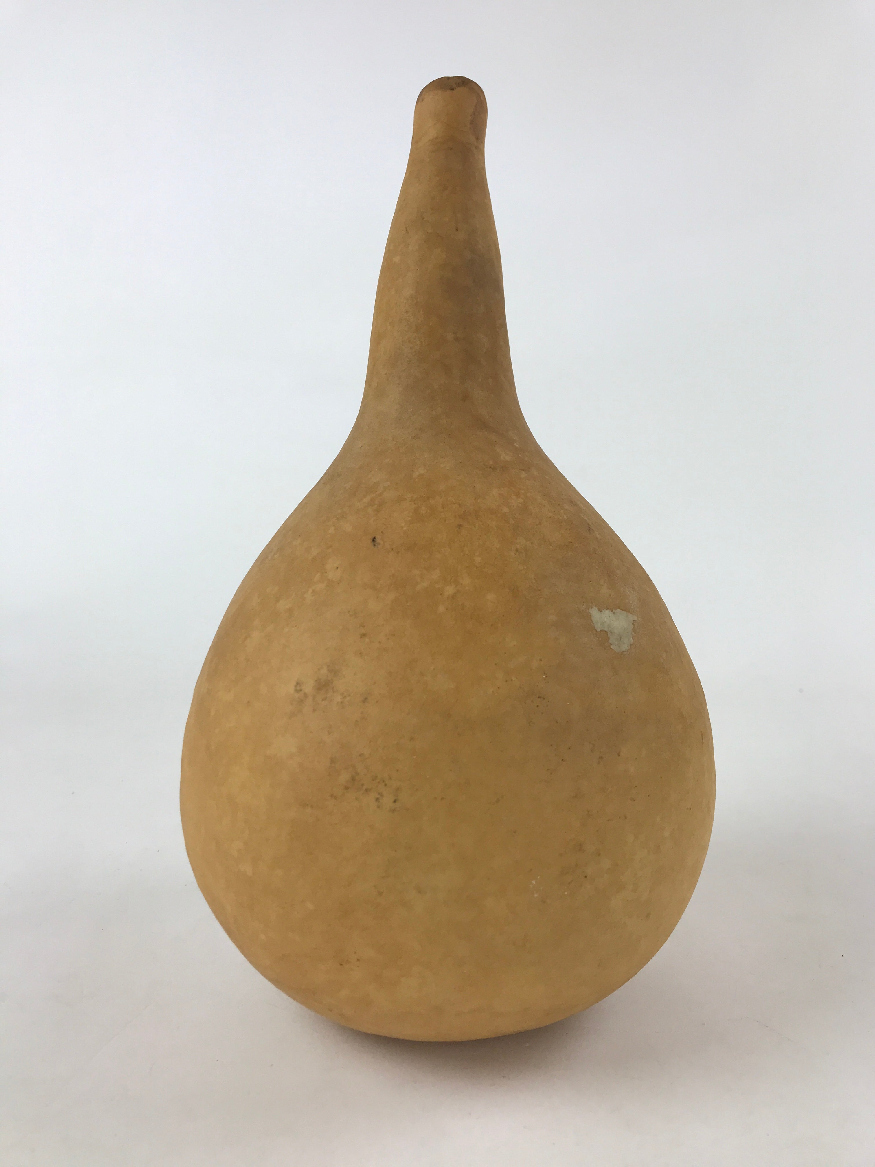 Japanese Natural Hyotan Gourd Vtg Sake Bottle Lucky Charm Large Calabash G251