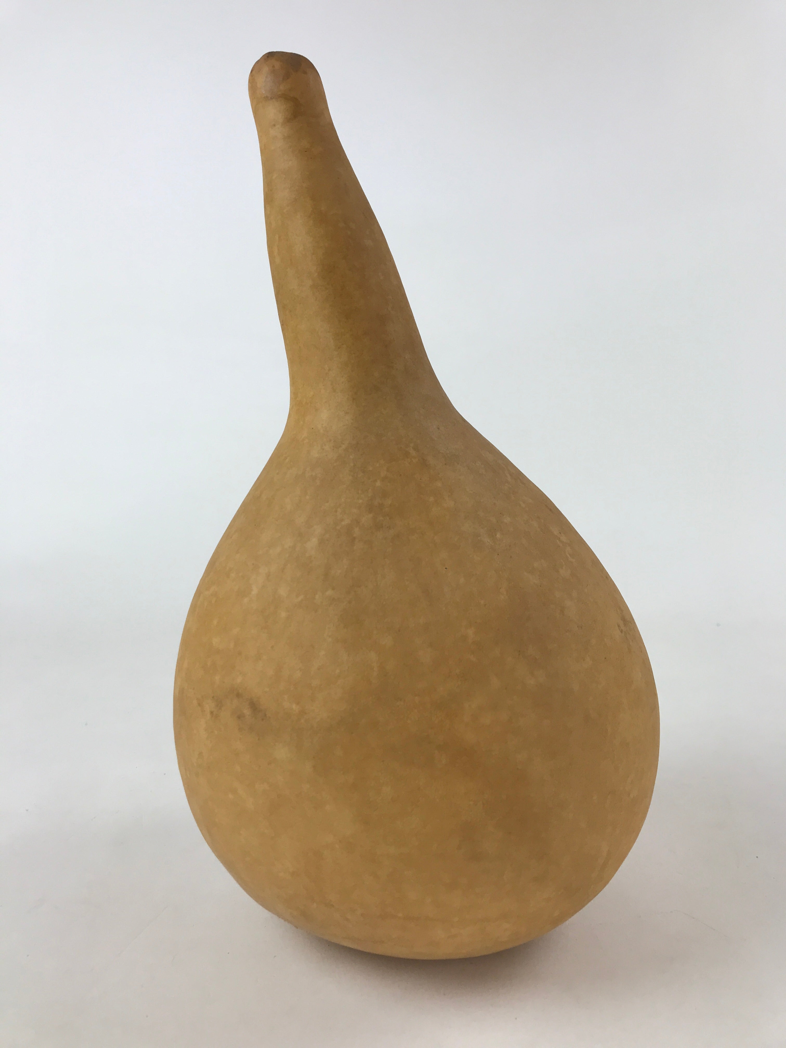 Japanese Natural Hyotan Gourd Vtg Sake Bottle Lucky Charm Large Calabash G251