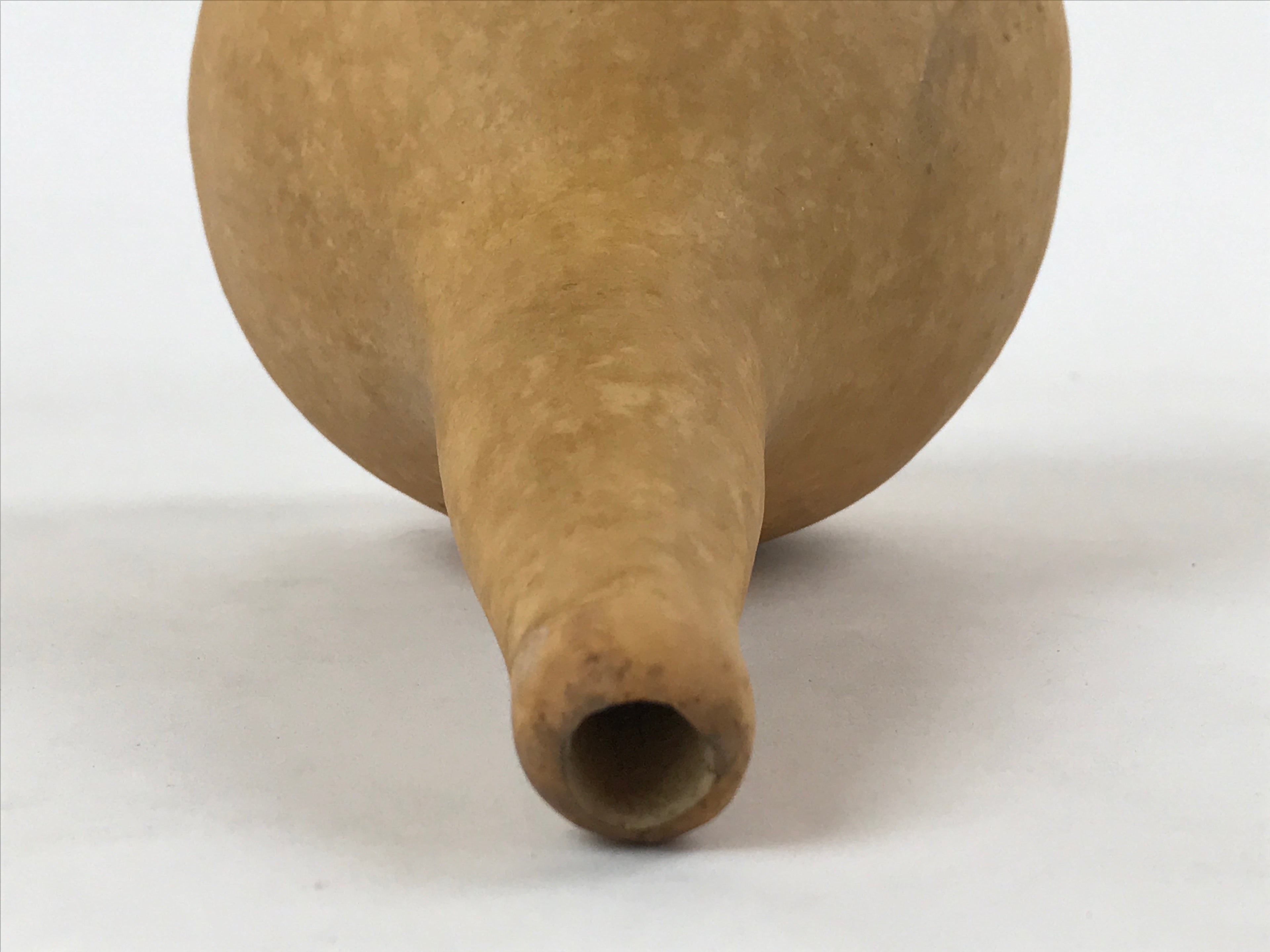 Japanese Natural Hyotan Gourd Vtg Sake Bottle Lucky Charm Large Calabash G251