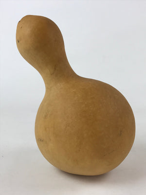 Japanese Natural Hyotan Gourd Vtg Sake Bottle Lucky Charm Large Calabash G254