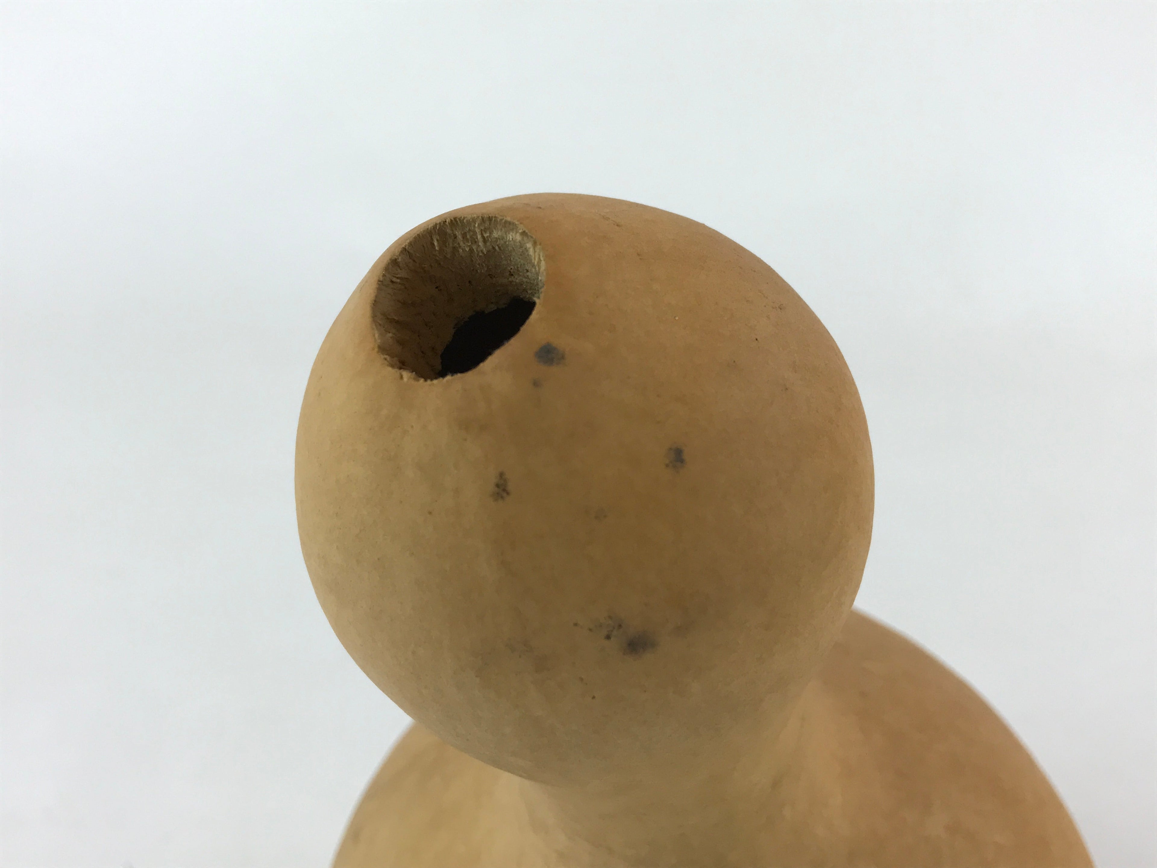 Japanese Natural Hyotan Gourd Vtg Sake Bottle Lucky Charm Large Calabash G254