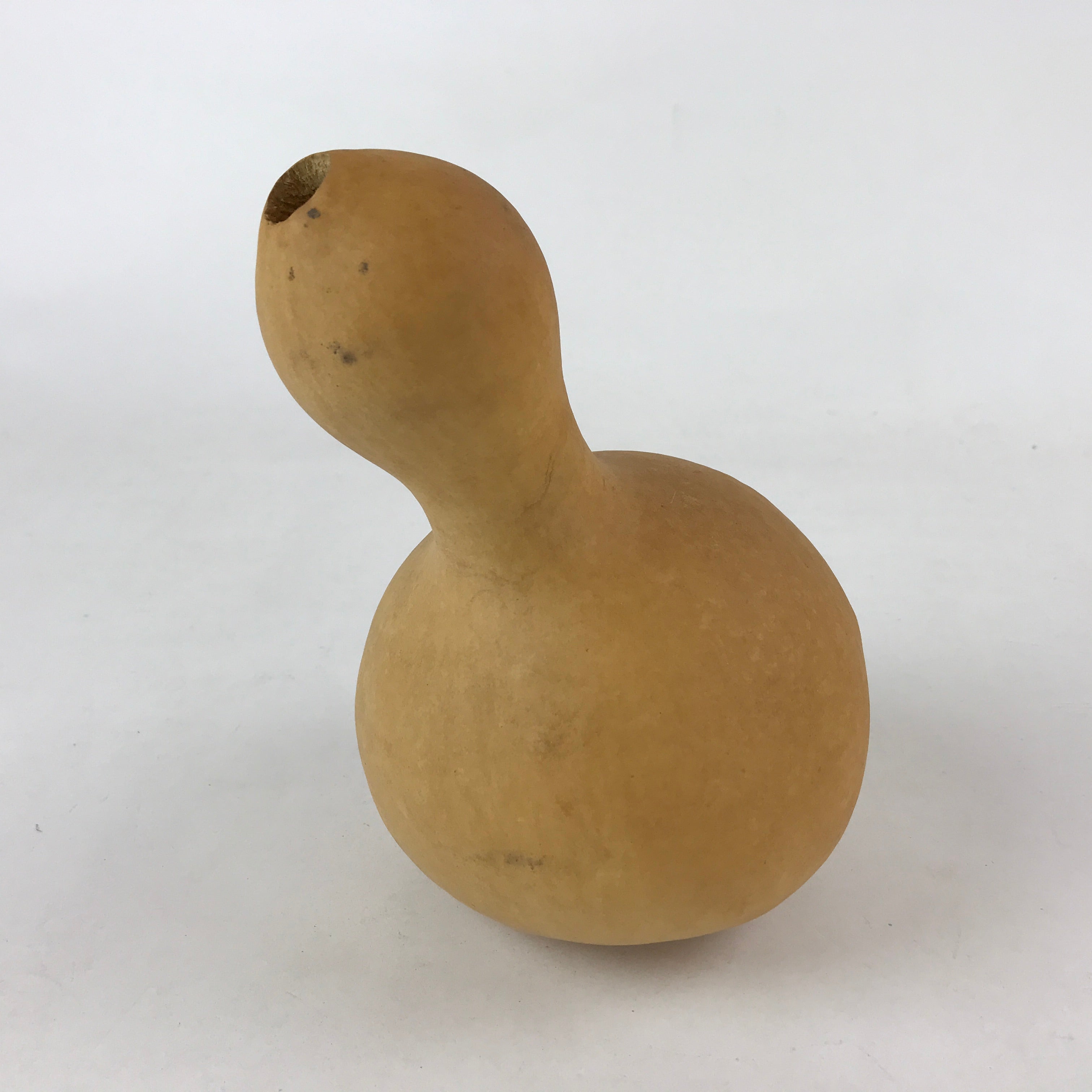 Japanese Natural Hyotan Gourd Vtg Sake Bottle Lucky Charm Large Calabash G254