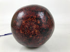 Japanese Natural Hyotan Gourd Vtg Sake Bottle Lucky Charm Large Calabash G281