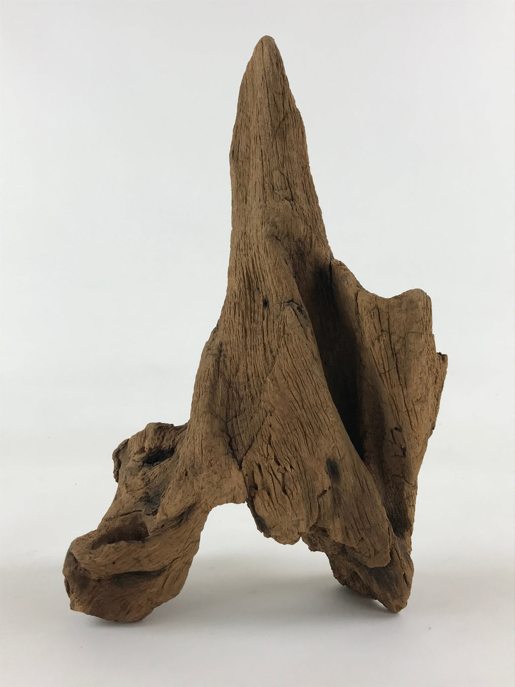 Japanese Natural Wood Sculpture Vtg Display Decoration Flower Arrangement BD881