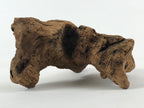 Japanese Natural Wood Sculpture Vtg Display Decoration Flower Arrangement BD881
