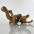 Japanese Natural Wooden Ikebana Display Stand Vtg Unique Flower Vase Kadai WT520