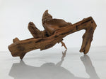 Japanese Natural Wooden Ikebana Sculpture Vtg Flower Vase Kadai Decoration WT606