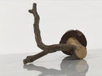 Japanese Natural Wooden Ikebana Sculpture Vtg Flower Vase Kadai Decoration WT609