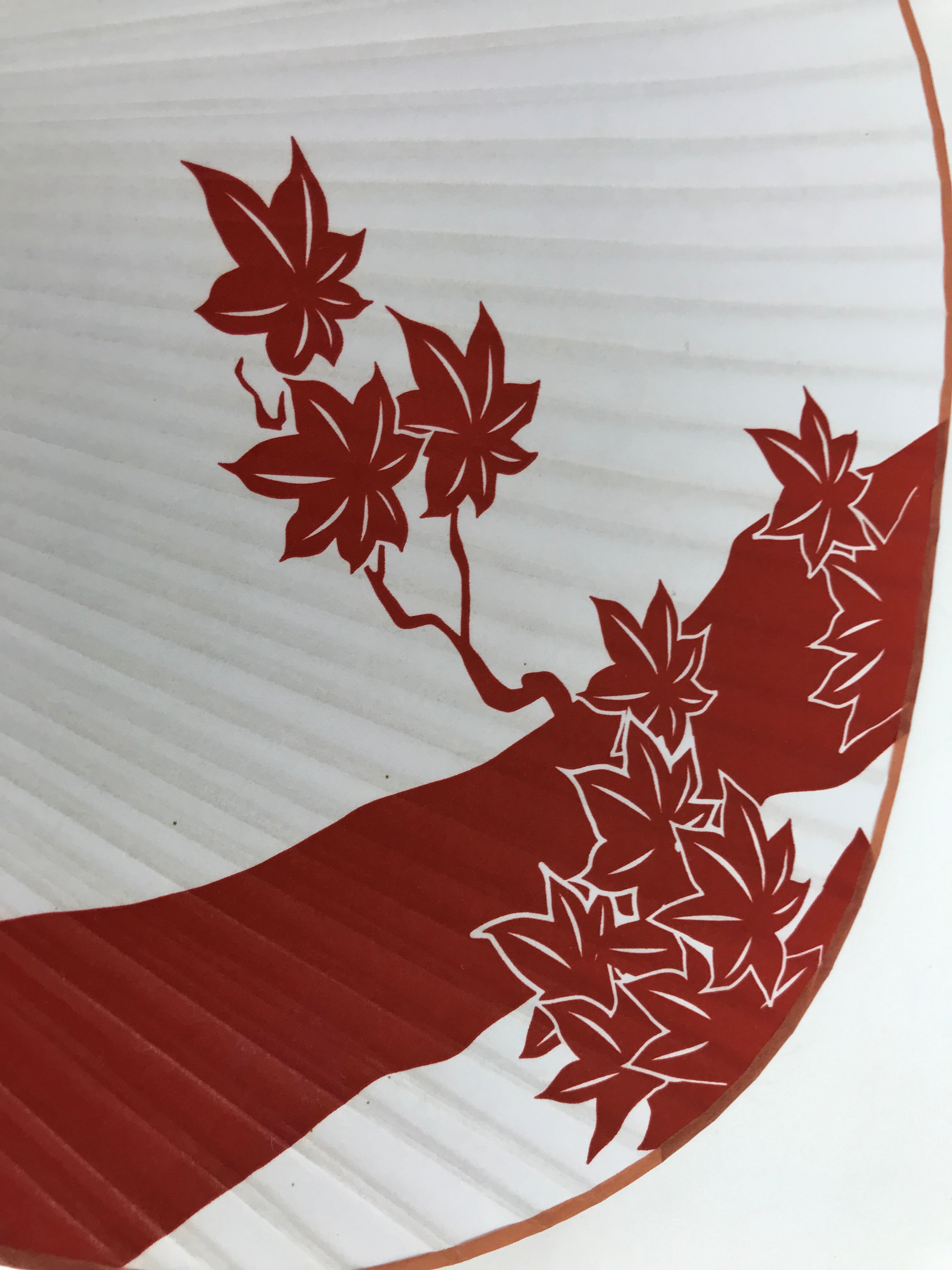 Japanese Paper Fan Fukakusa Uchiwa Bamboo Maple Leaves Momiji Red White U155