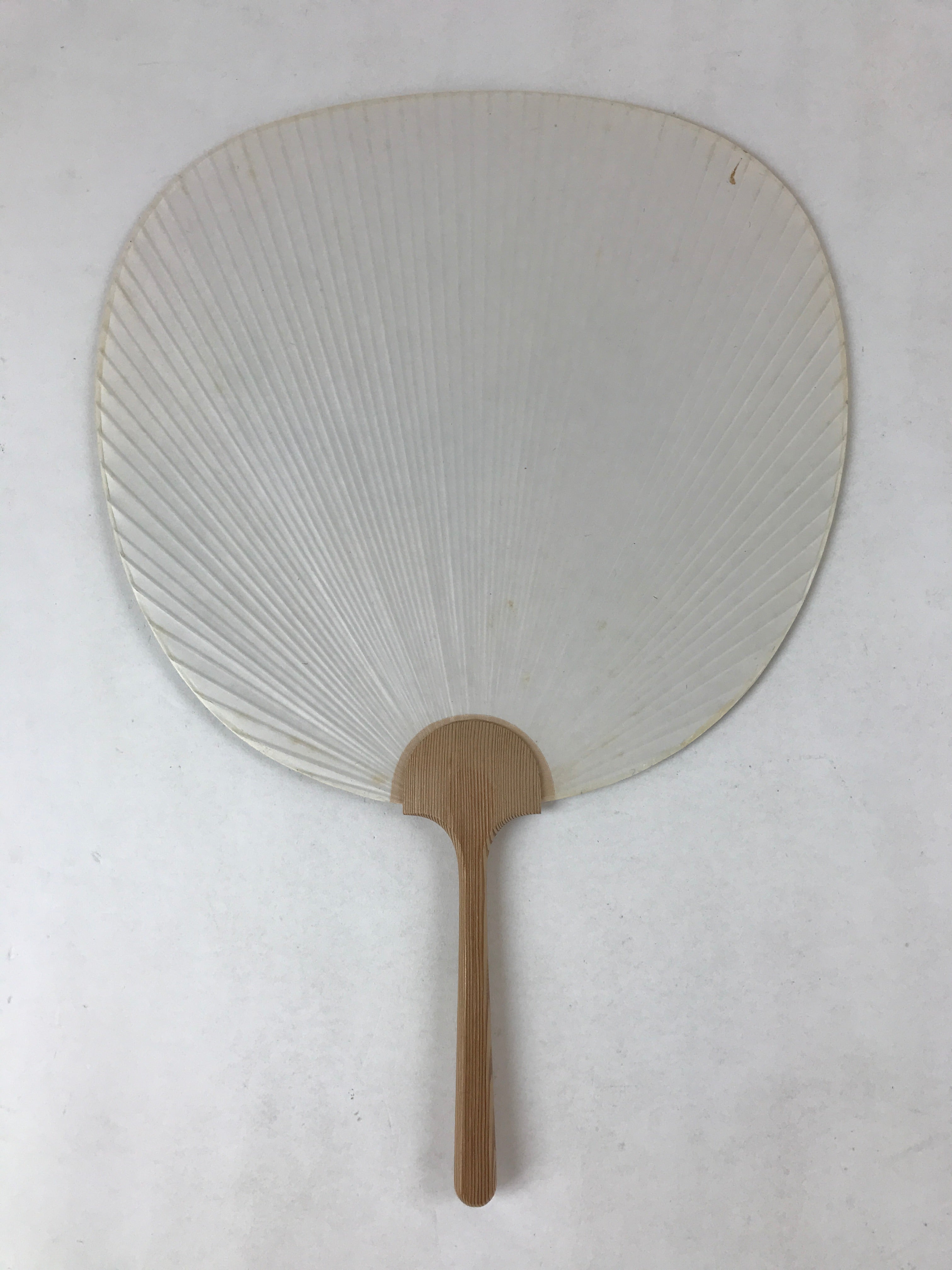 Japanese Paper Fan Uchiwa Vtg Issei Yamauchi Obara Washi Nemophila Yellow U119