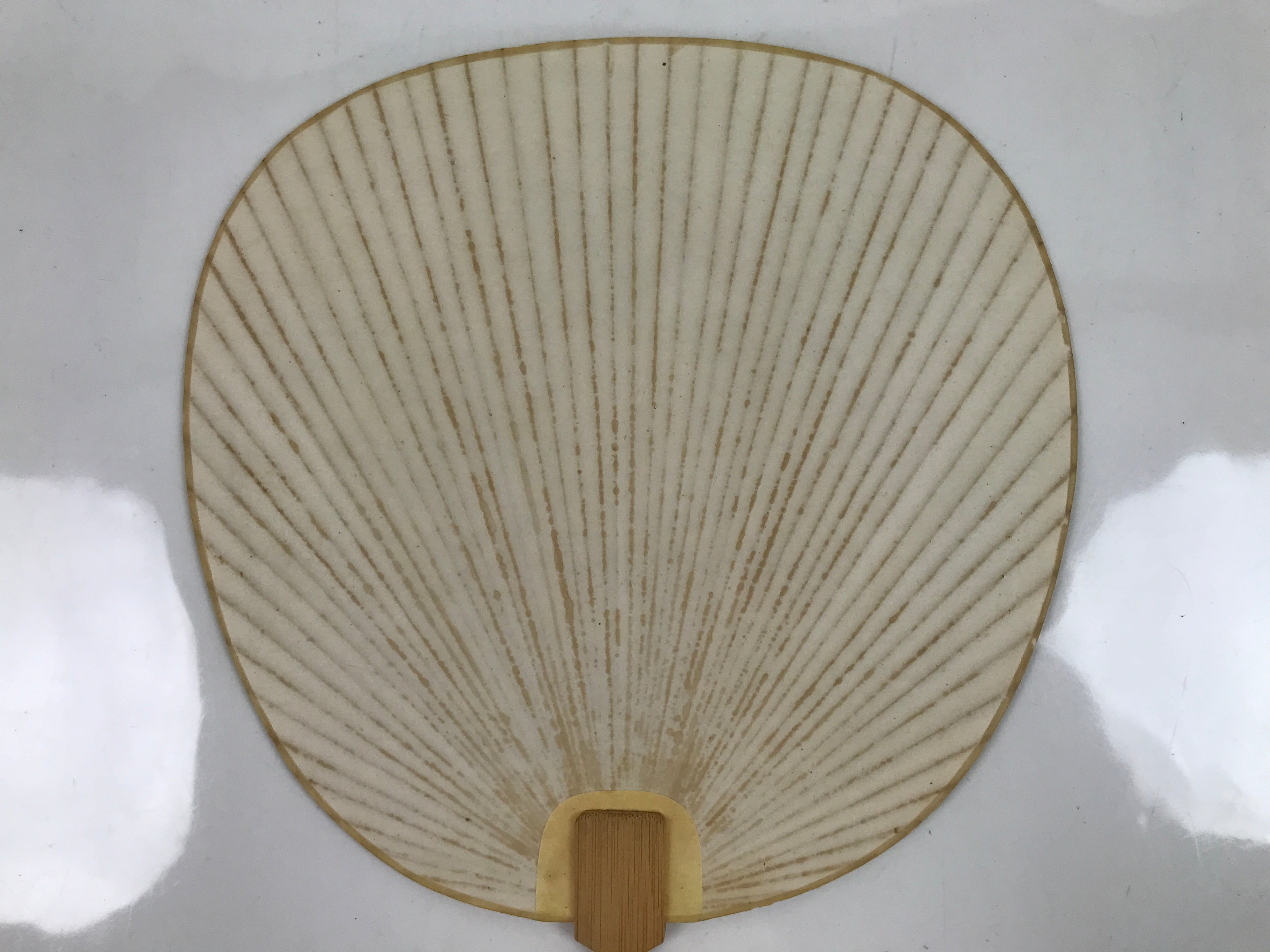 Japanese Paper Fan Uchiwa Vtg Wooden Handle Morning Glories Asagao Blue U170