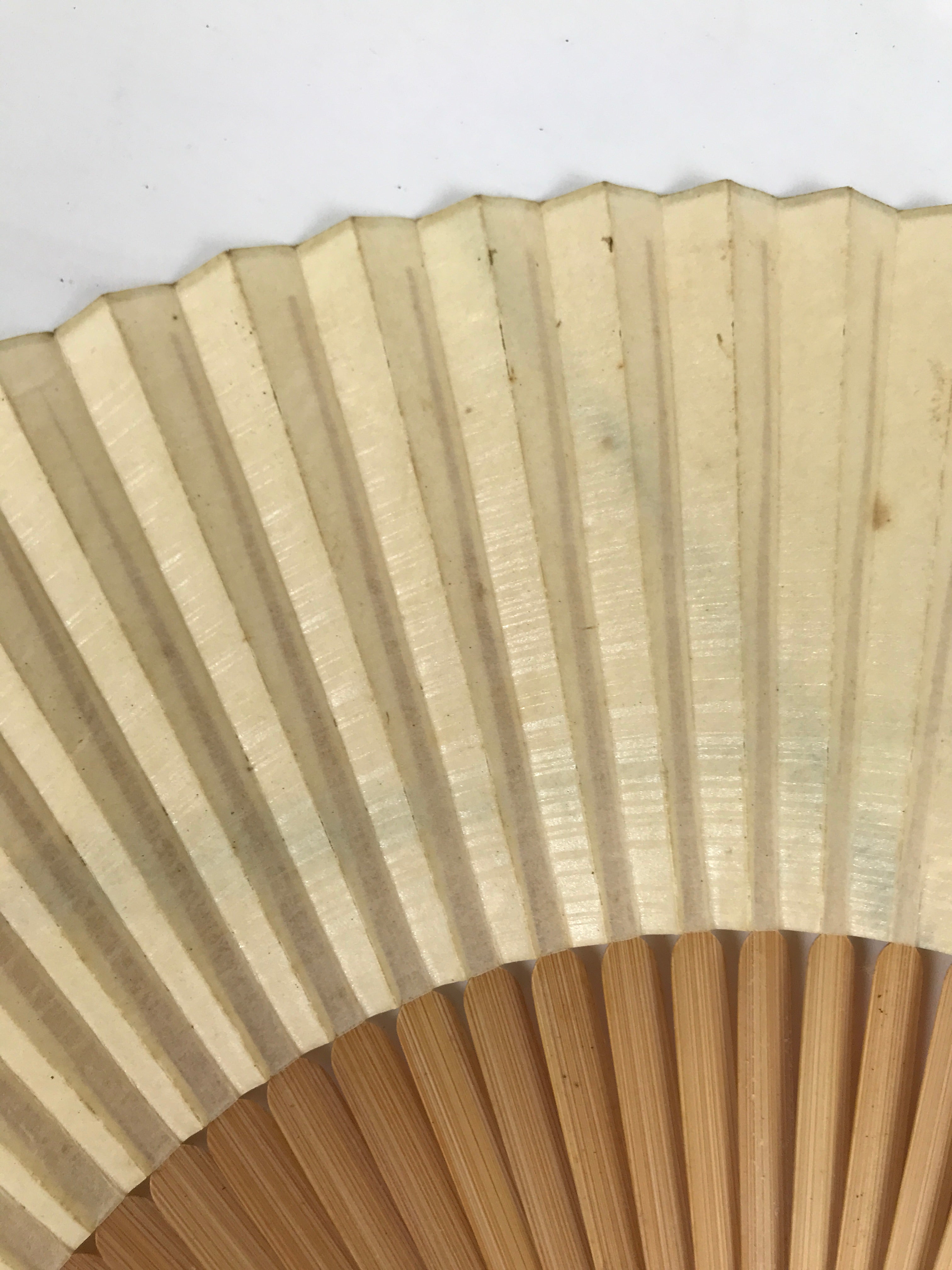 Japanese Paper Folding Fan Sensu Vtg Bamboo Frame Abstract Dragonfly Plant 4D902