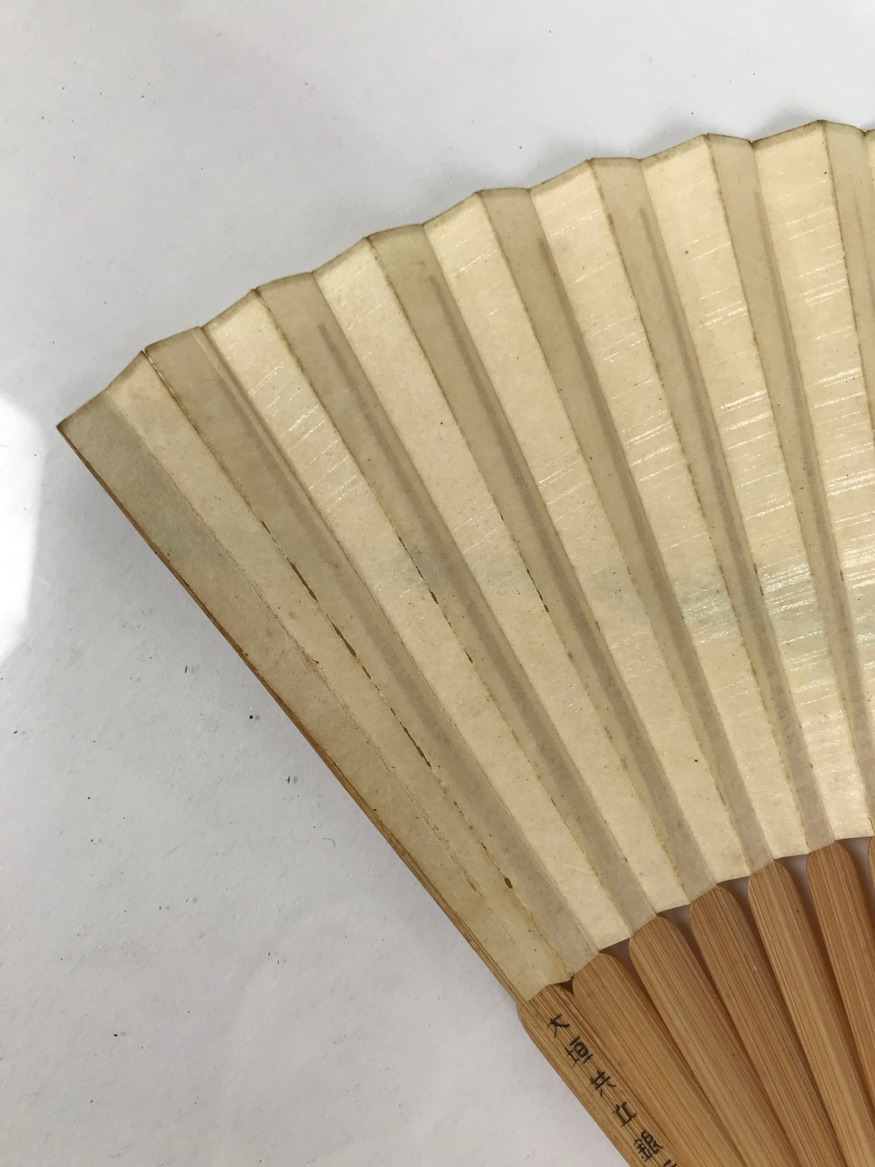 Japanese Paper Folding Fan Sensu Vtg Bamboo Frame Abstract Dragonfly Plant 4D902