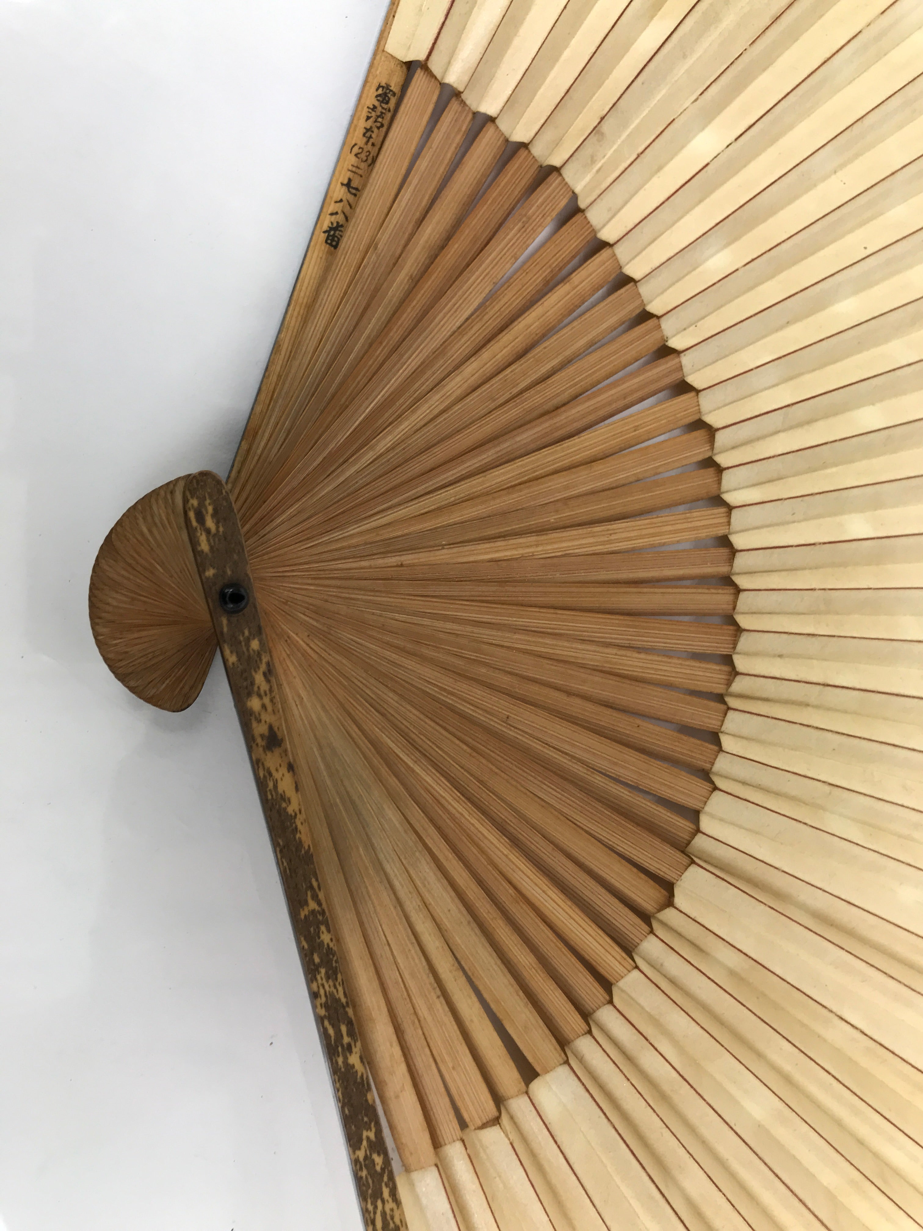 Japanese Paper Folding Fan Sensu Vtg Bamboo Frame Medaka Small Fish Beige 4D909