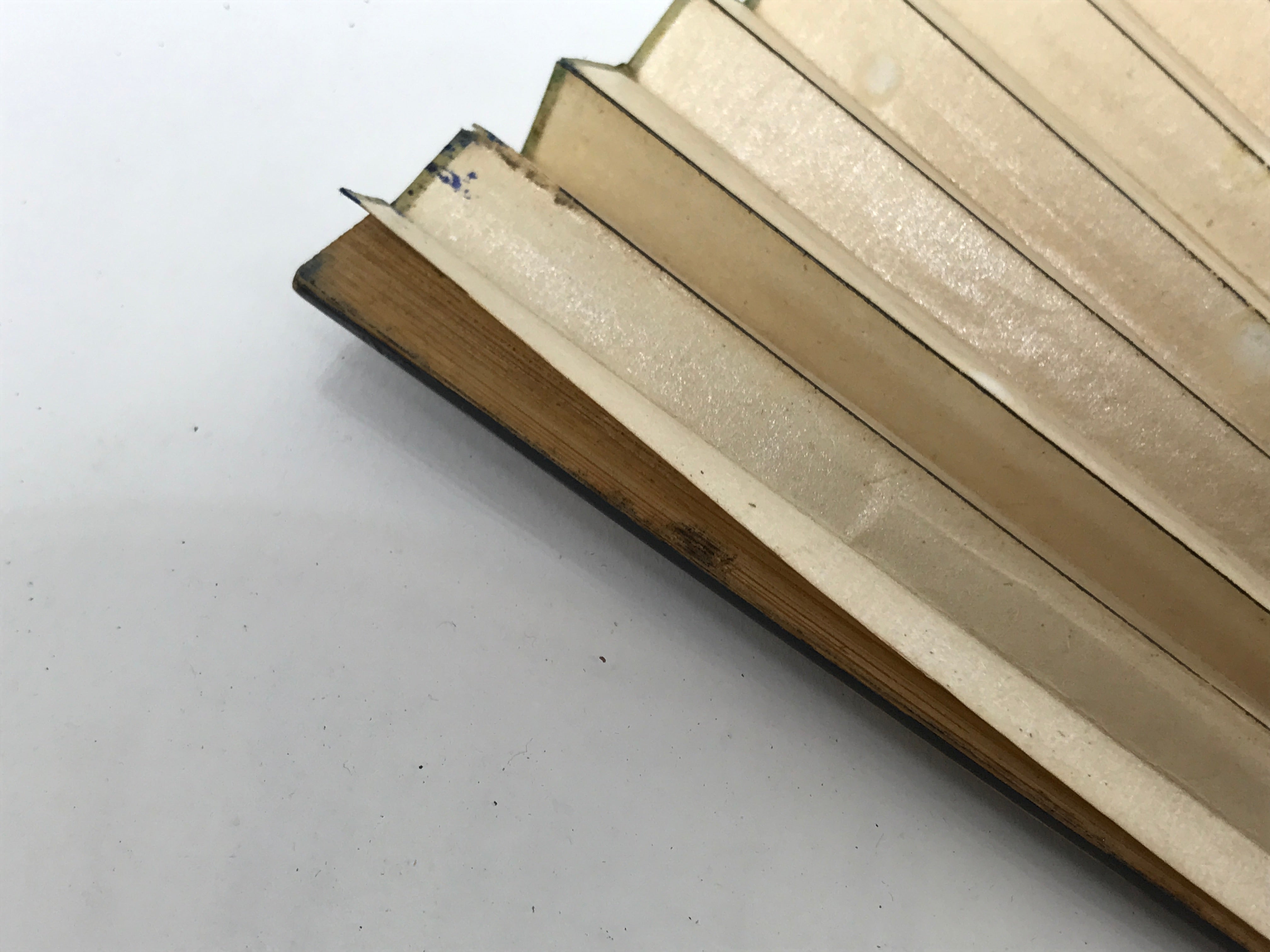 Japanese Paper Folding Fan Sensu Vtg Bamboo Frame Medaka Small Fish Beige 4D909