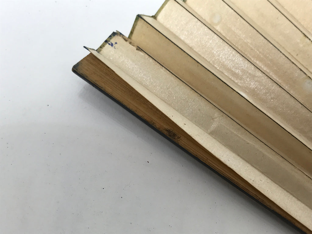 Japanese Paper Folding Fan Sensu Vtg Bamboo Frame Medaka Small Fish Beige 4D909