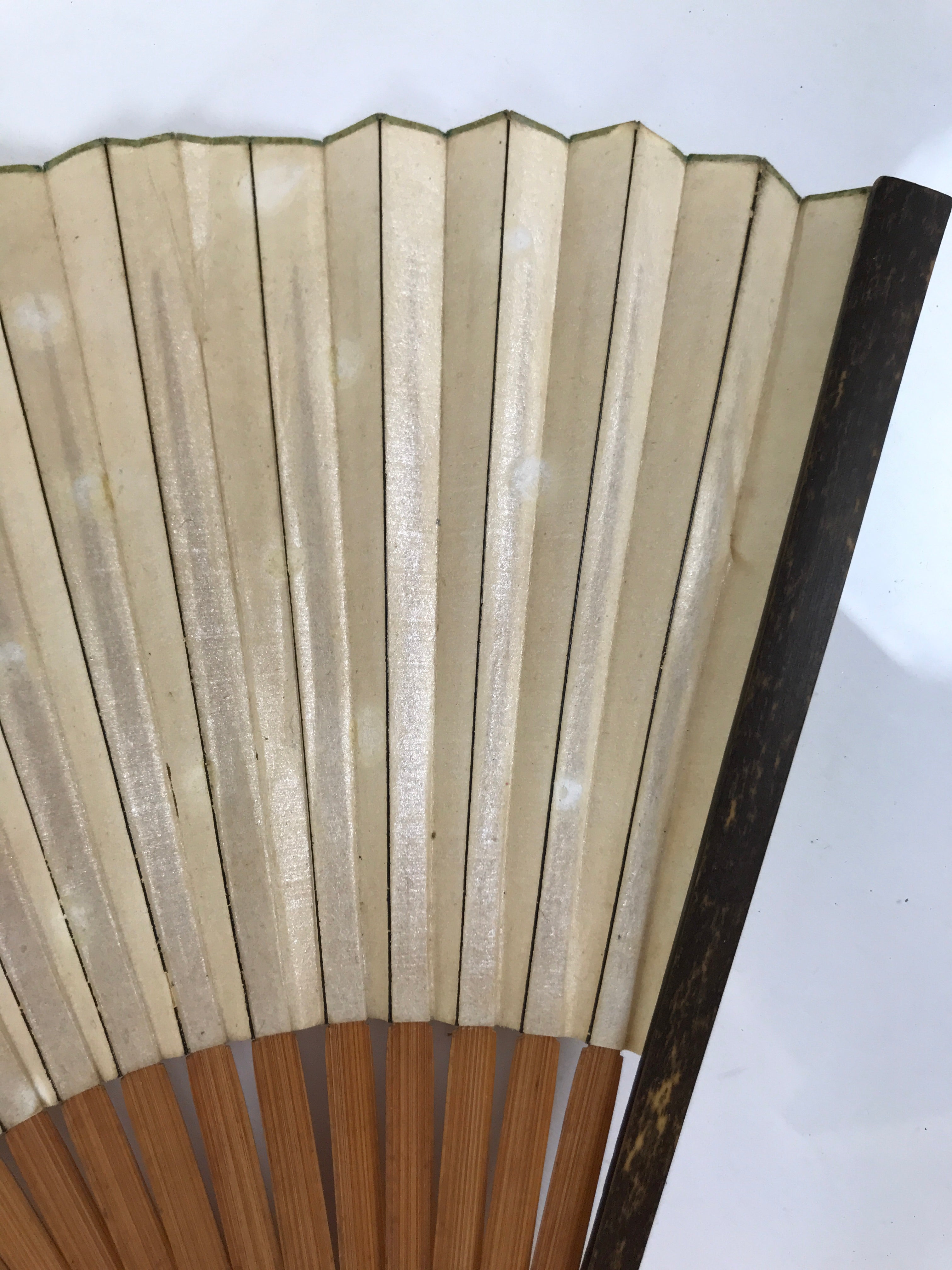 Japanese Paper Folding Fan Sensu Vtg Bamboo Frame Medaka Small Fish Beige 4D909