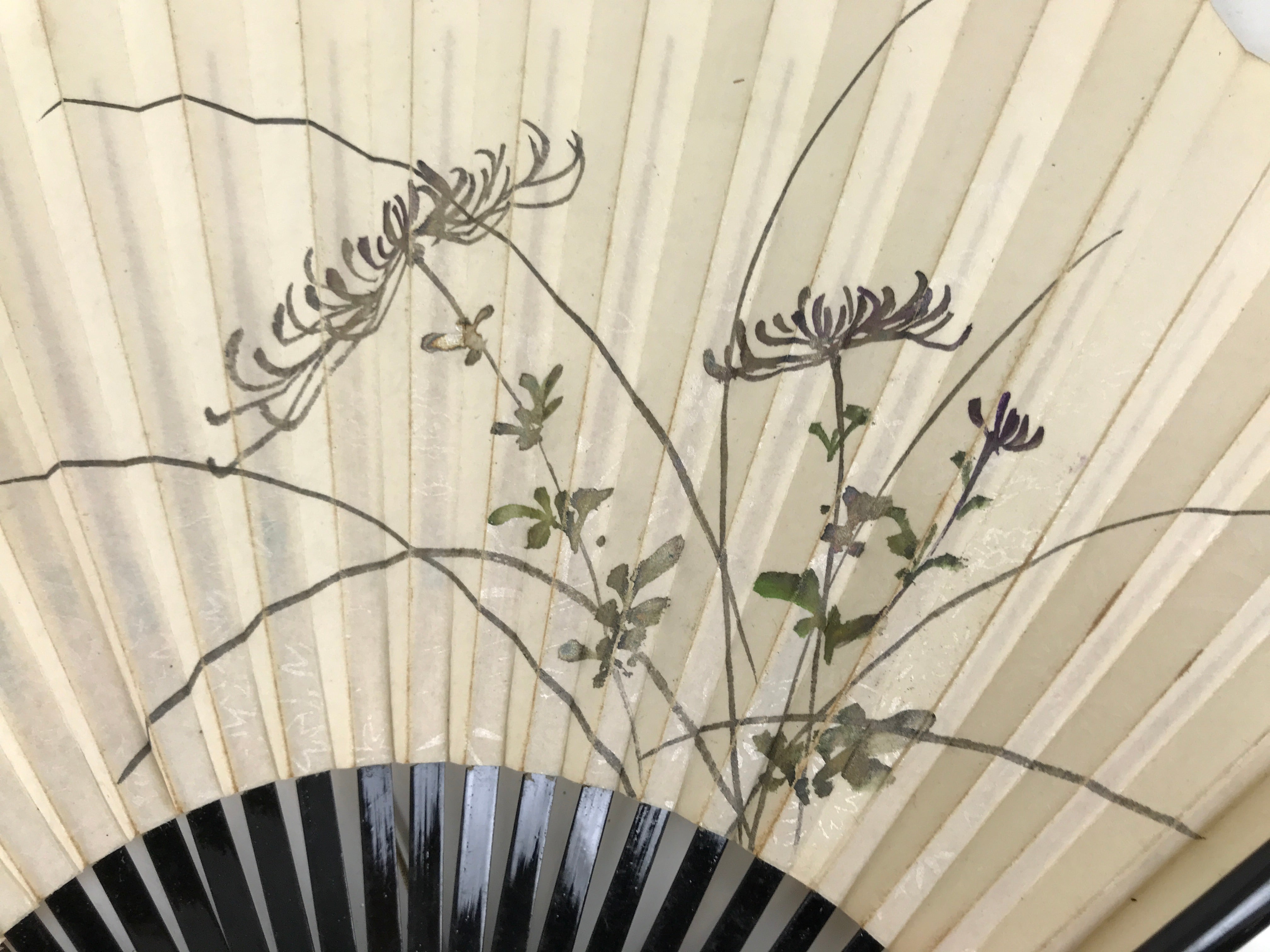 Japanese Paper Folding Fan Sensu Vtg Lacquer Bamboo Spider Lily Higanbana 4D905