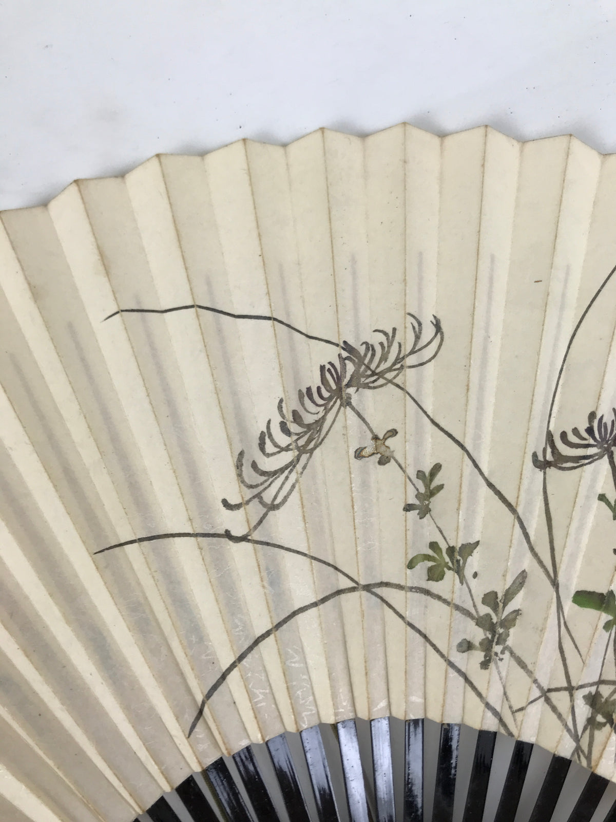 Japanese Paper Folding Fan Sensu Vtg Lacquer Bamboo Spider Lily Higanbana 4D905
