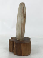 Japanese Petrified Wood Viewing Stone Vtg Zen Buddhist Suiseki Statue JK849