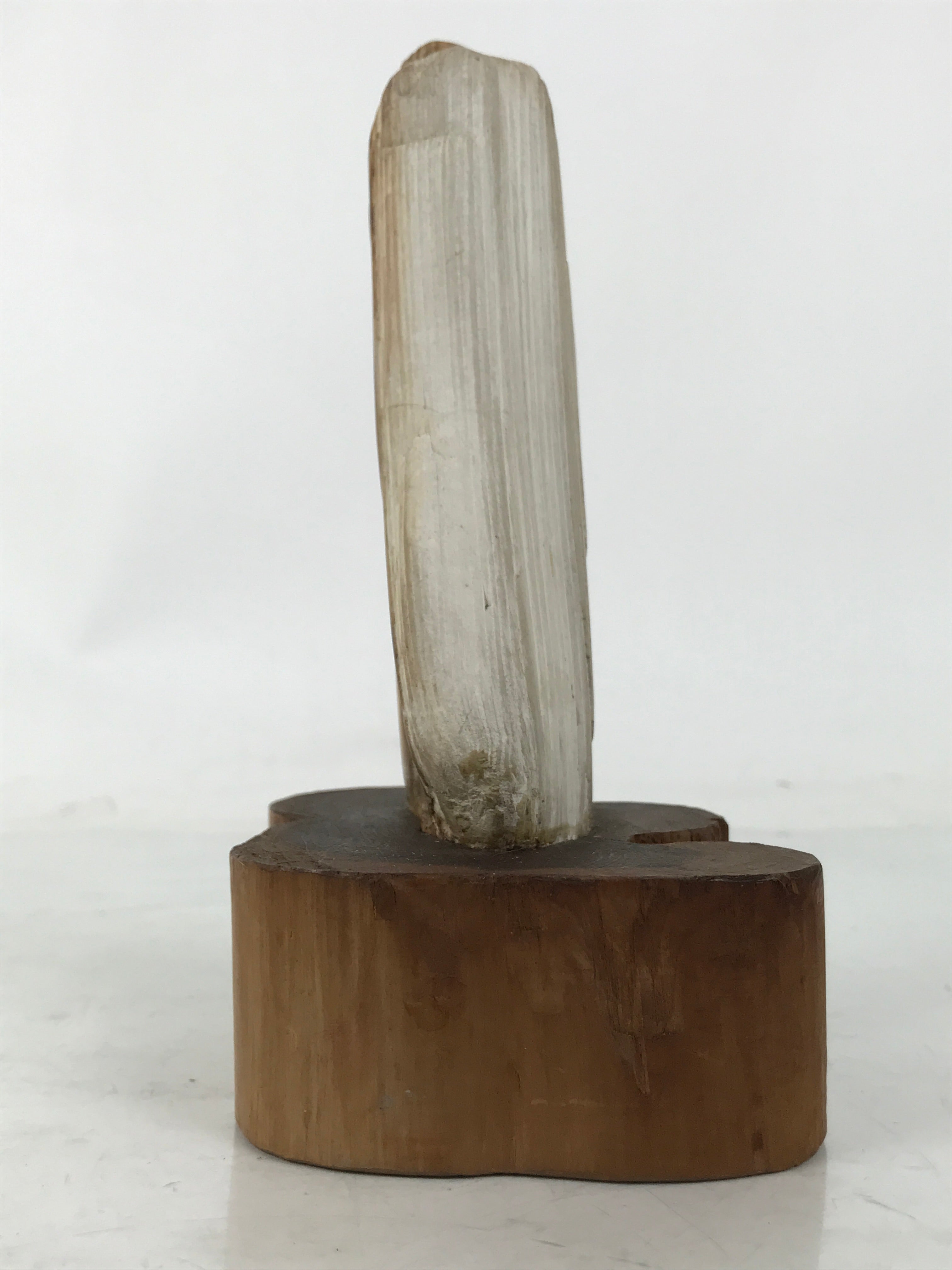 Japanese Petrified Wood Viewing Stone Vtg Zen Buddhist Suiseki Statue JK849