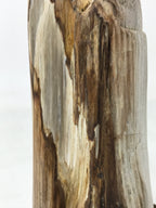 Japanese Petrified Wood Viewing Stone Vtg Zen Buddhist Suiseki Statue JK849