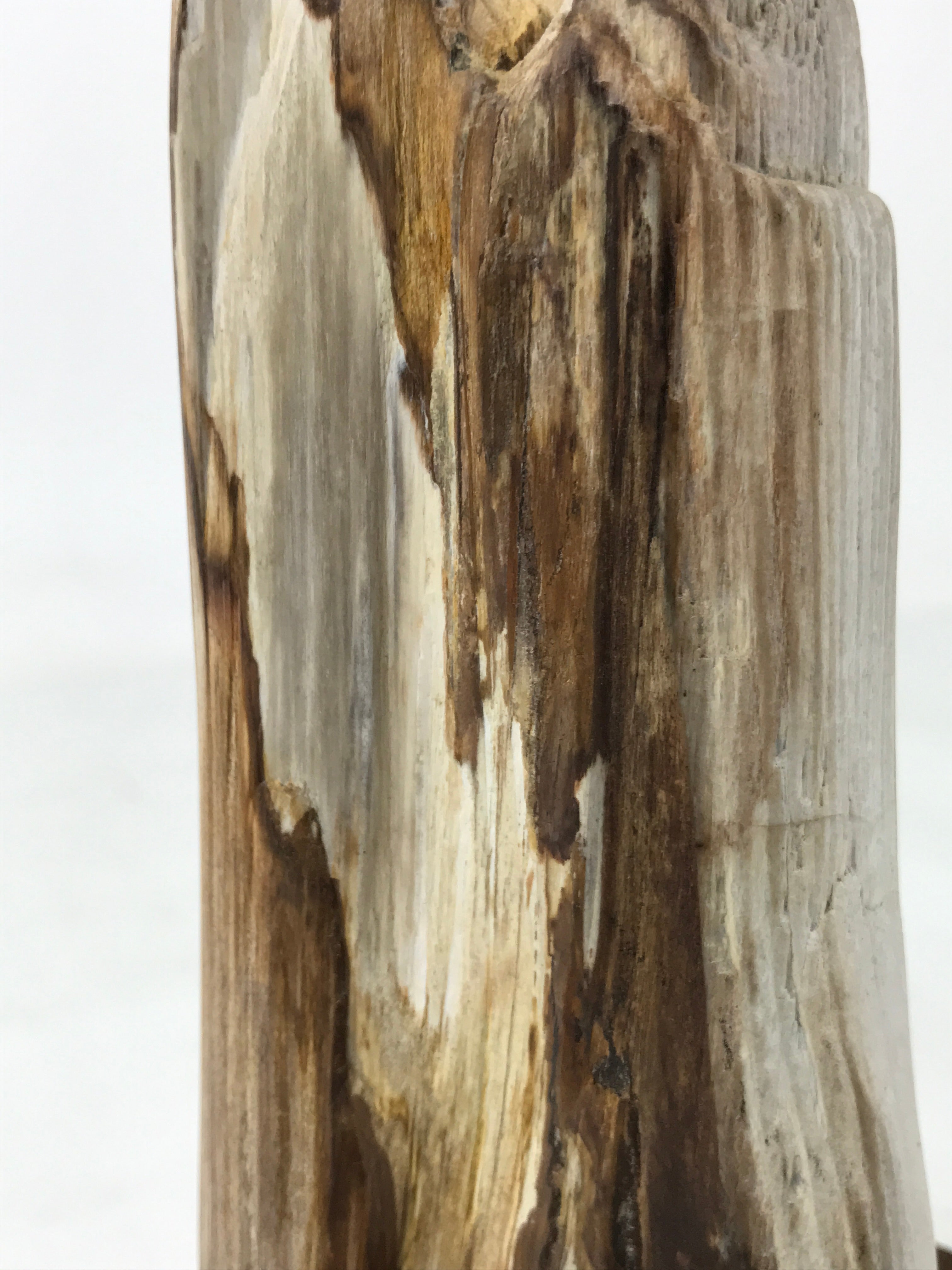 Japanese Petrified Wood Viewing Stone Vtg Zen Buddhist Suiseki Statue JK849