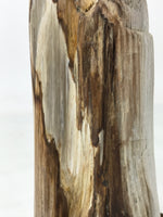 Japanese Petrified Wood Viewing Stone Vtg Zen Buddhist Suiseki Statue JK849