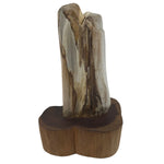 Japanese Petrified Wood Viewing Stone Vtg Zen Buddhist Suiseki Statue JK849