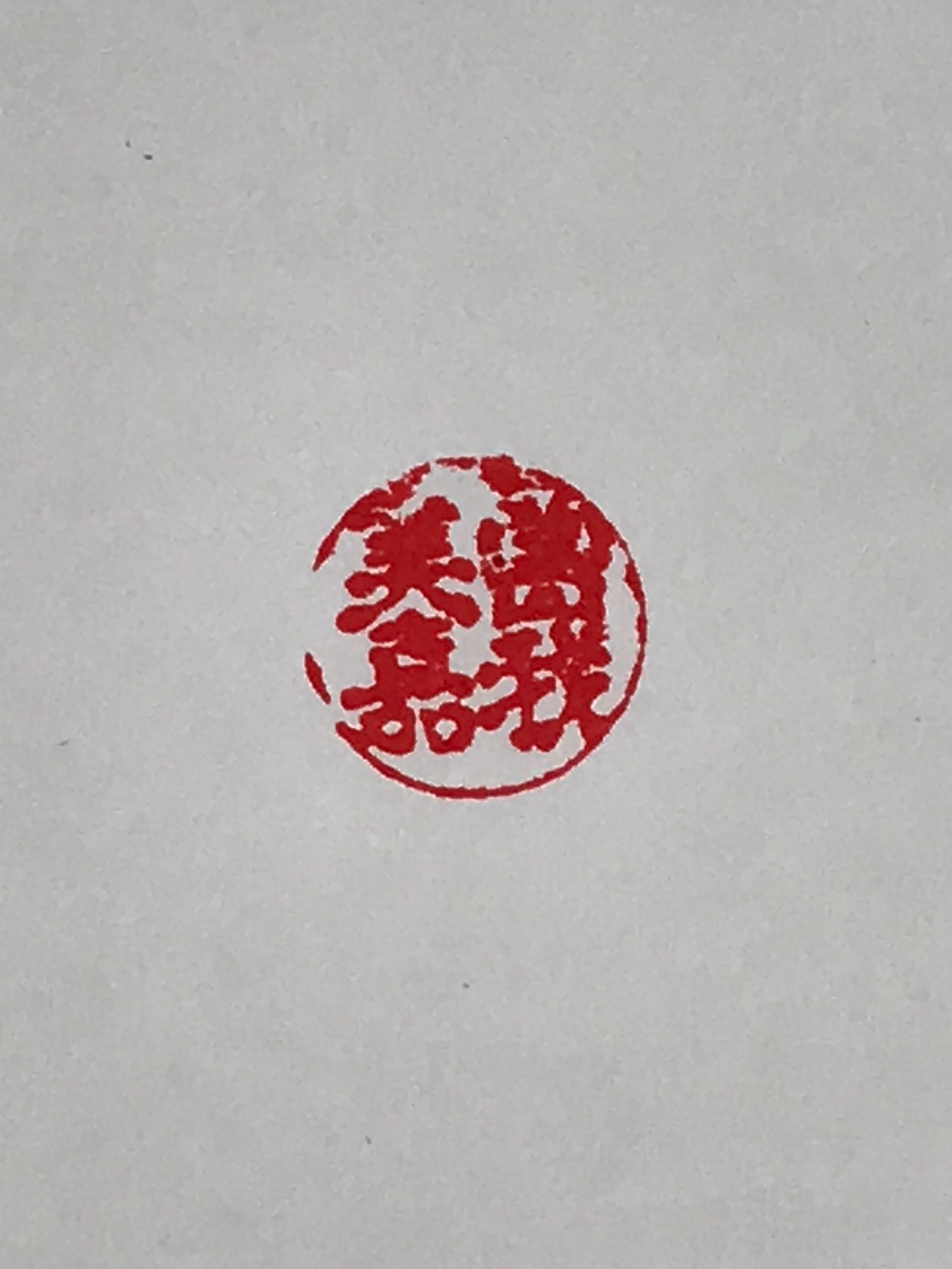 Japanese Plastic Stamp Hanko Inkan Vtg Seal Personal Name Full Name Kanji HS135