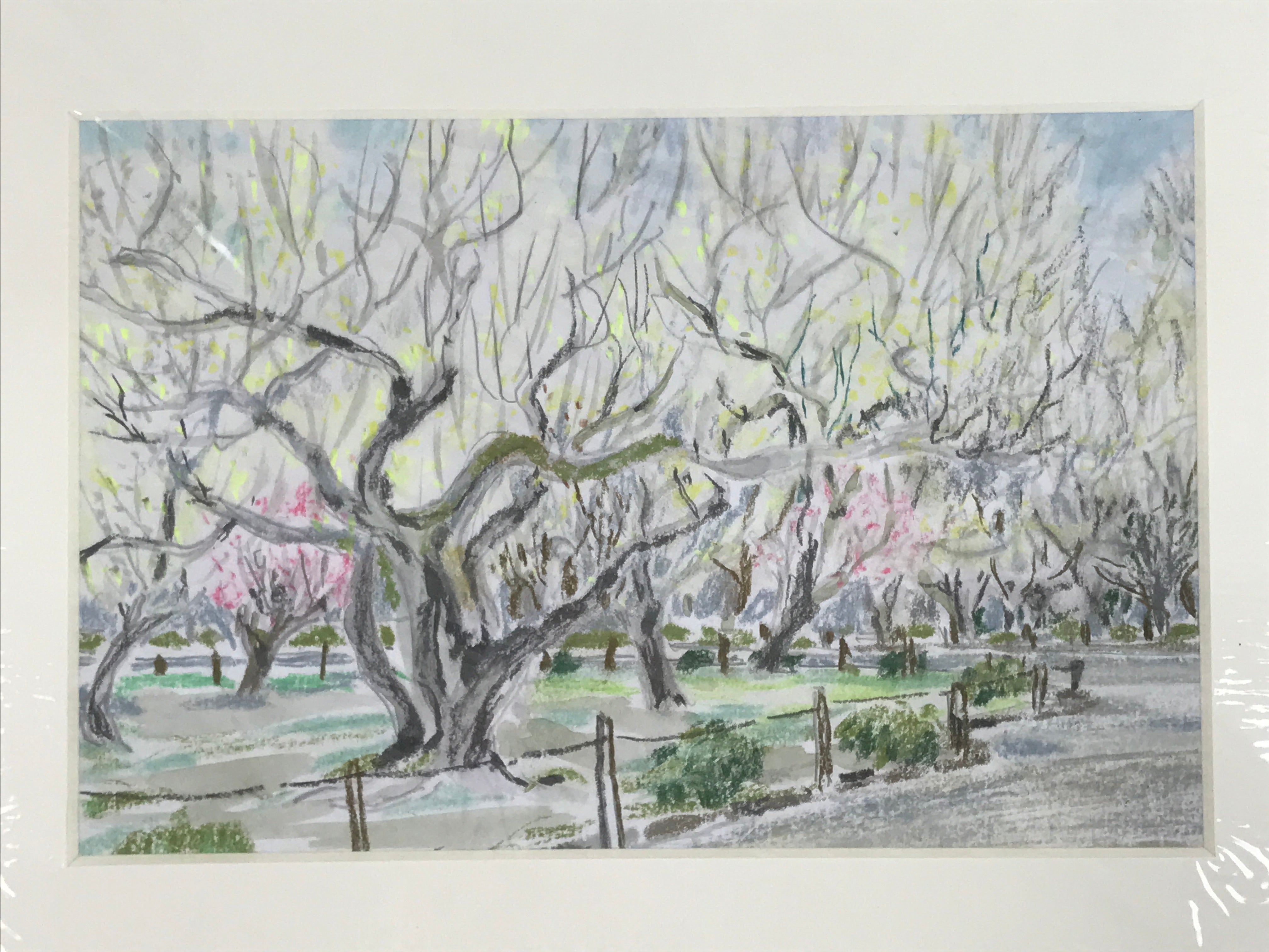 Japanese Plum Blossoms In Park Scene Pastel Drawing Original Art Unsigned FL302