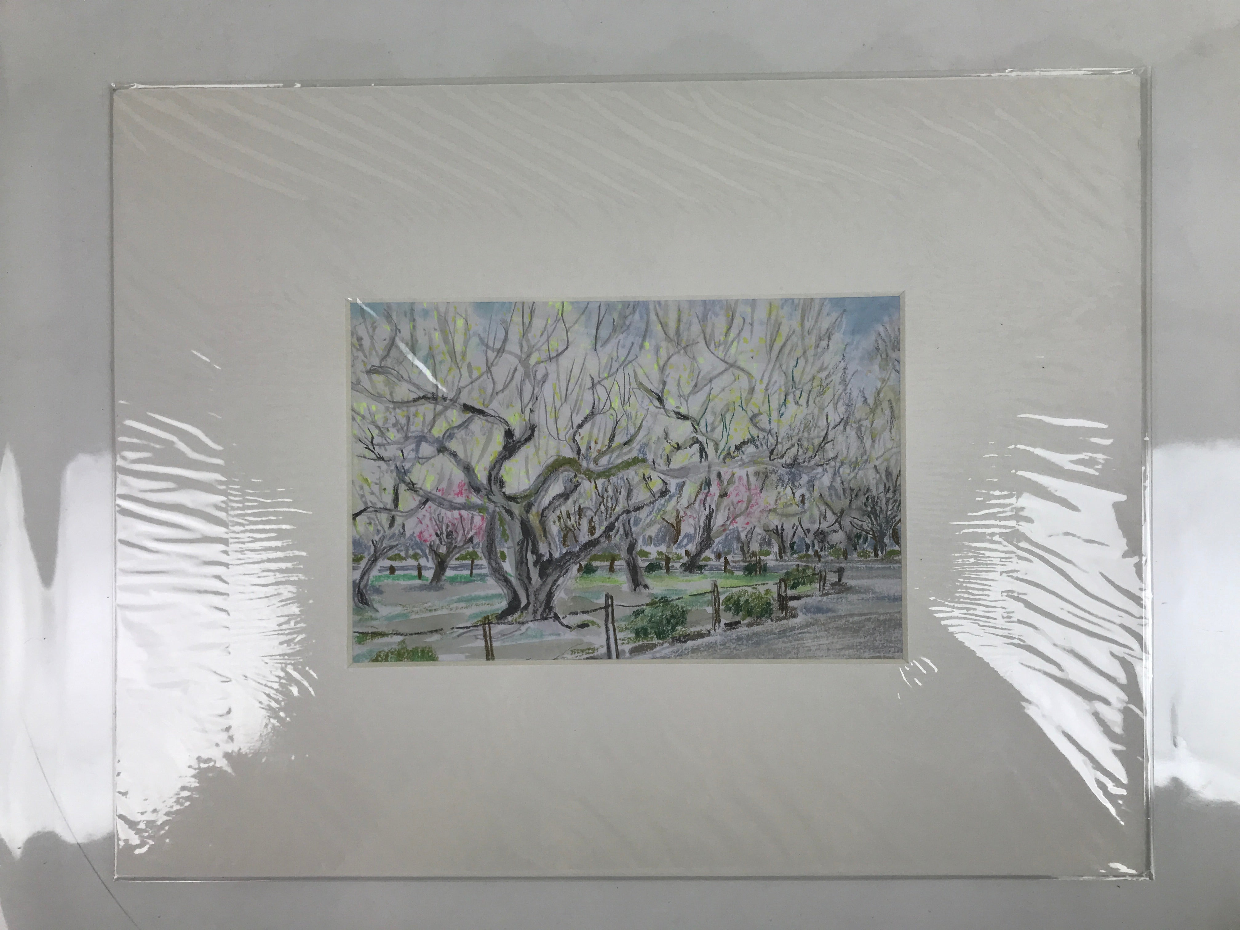 Japanese Plum Blossoms In Park Scene Pastel Drawing Original Art Unsigned FL302