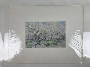 Japanese Plum Blossoms In Park Scene Pastel Drawing Original Art Unsigned FL302