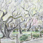 Japanese Plum Blossoms In Park Scene Pastel Drawing Original Art Unsigned FL302