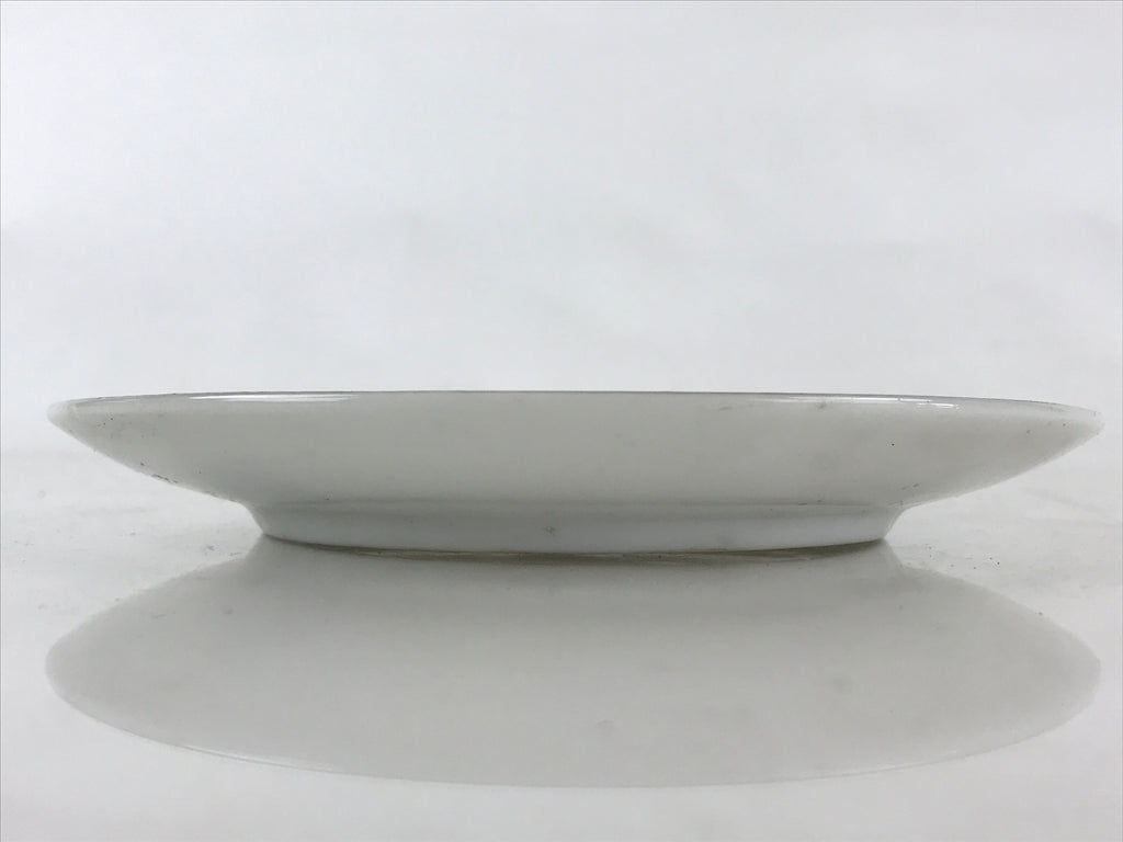 Japanese Porcelain Plate Pearl China White Red Brown Floral Leaf Design PY273