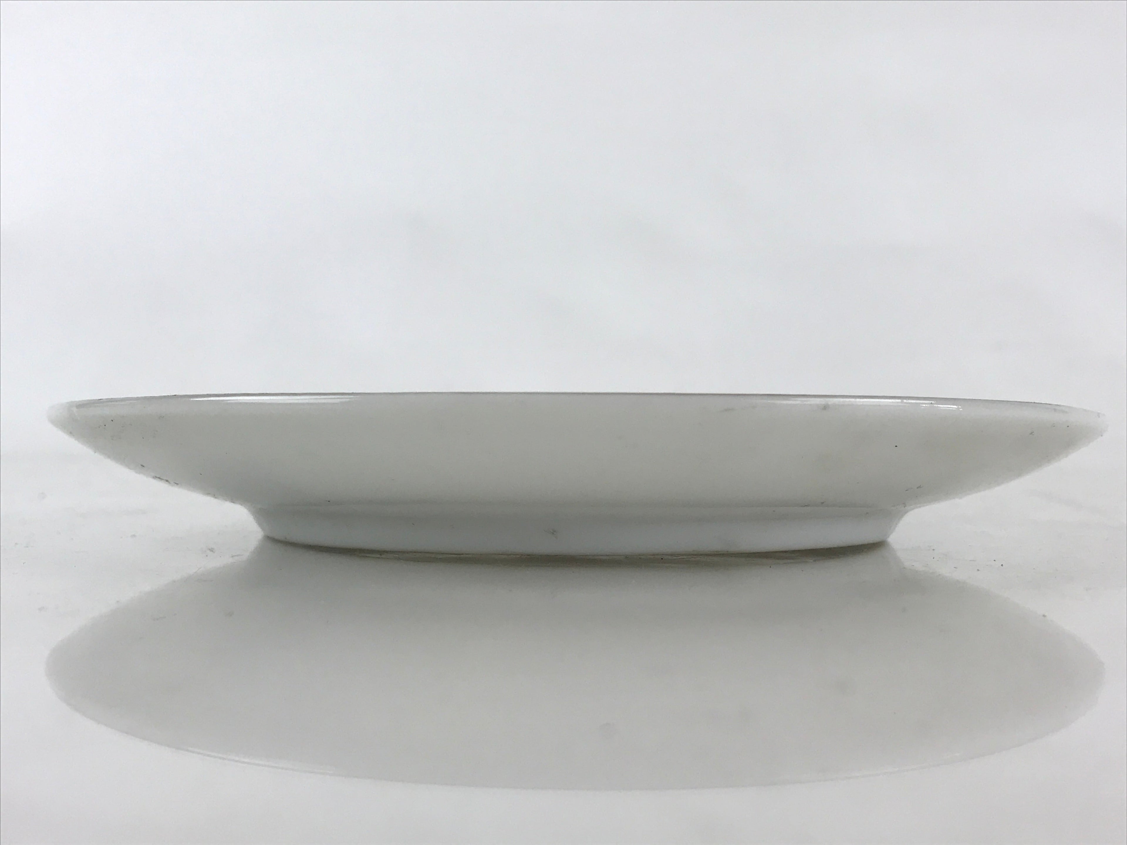 Japanese Porcelain Plate Pearl China White Red Brown Floral Leaf Design PY273