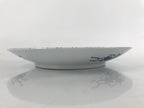 Japanese Porcelain Round Large Plate Vtg Mesh Net Ami Pattern White Blue PY753