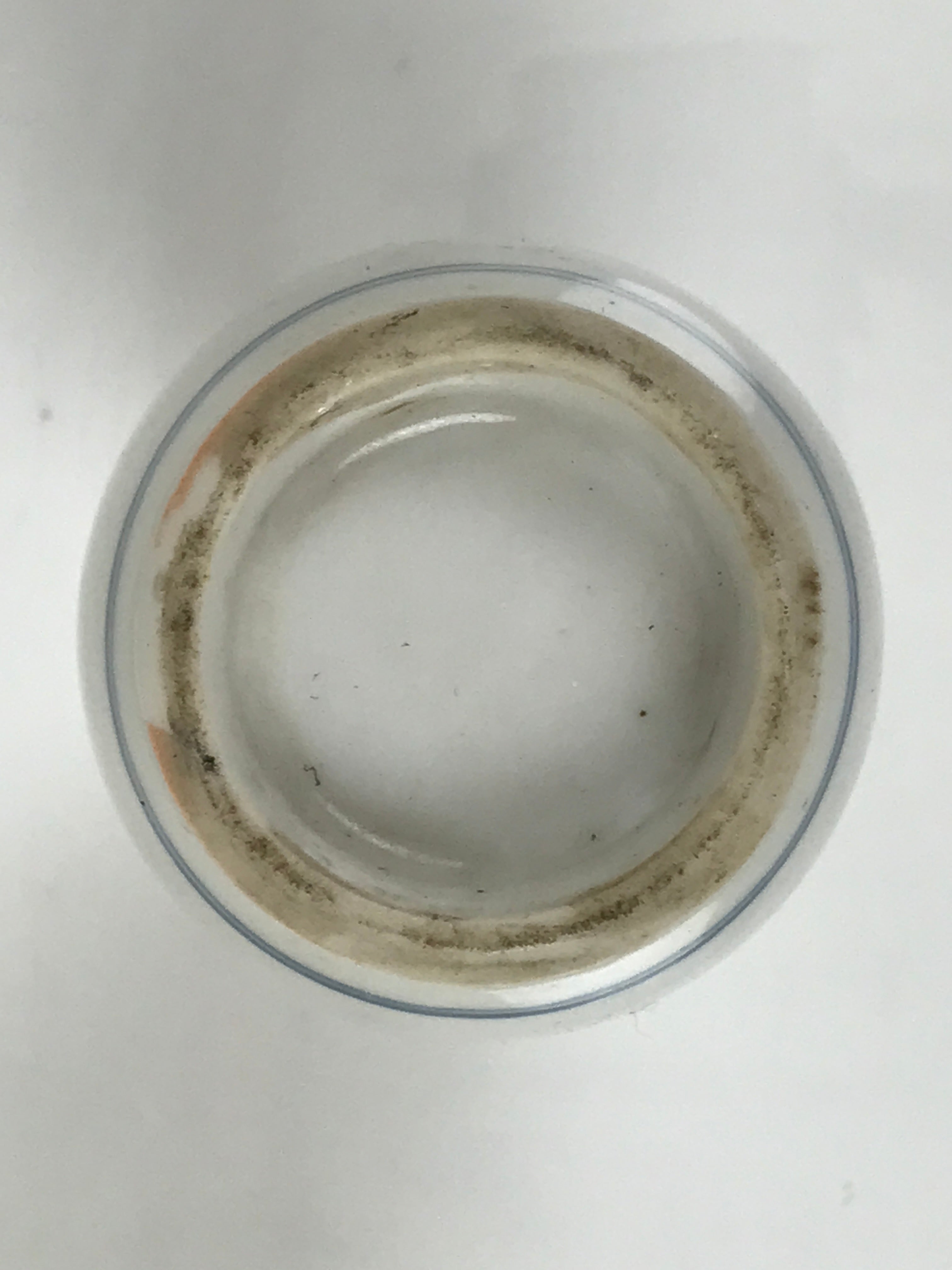 Japanese Porcelain Sake Bottle Tokkuri Vtg Blue White Kanji Gourd Red TS847