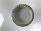 Japanese Porcelain Sake Bottle Tokkuri Vtg Ichi-Go Green Bamboo Leaves TS892