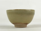 Japanese Porcelain Sake Cup Kutani Ware Dragonfly Plants Guinomi Beige Blue G86
