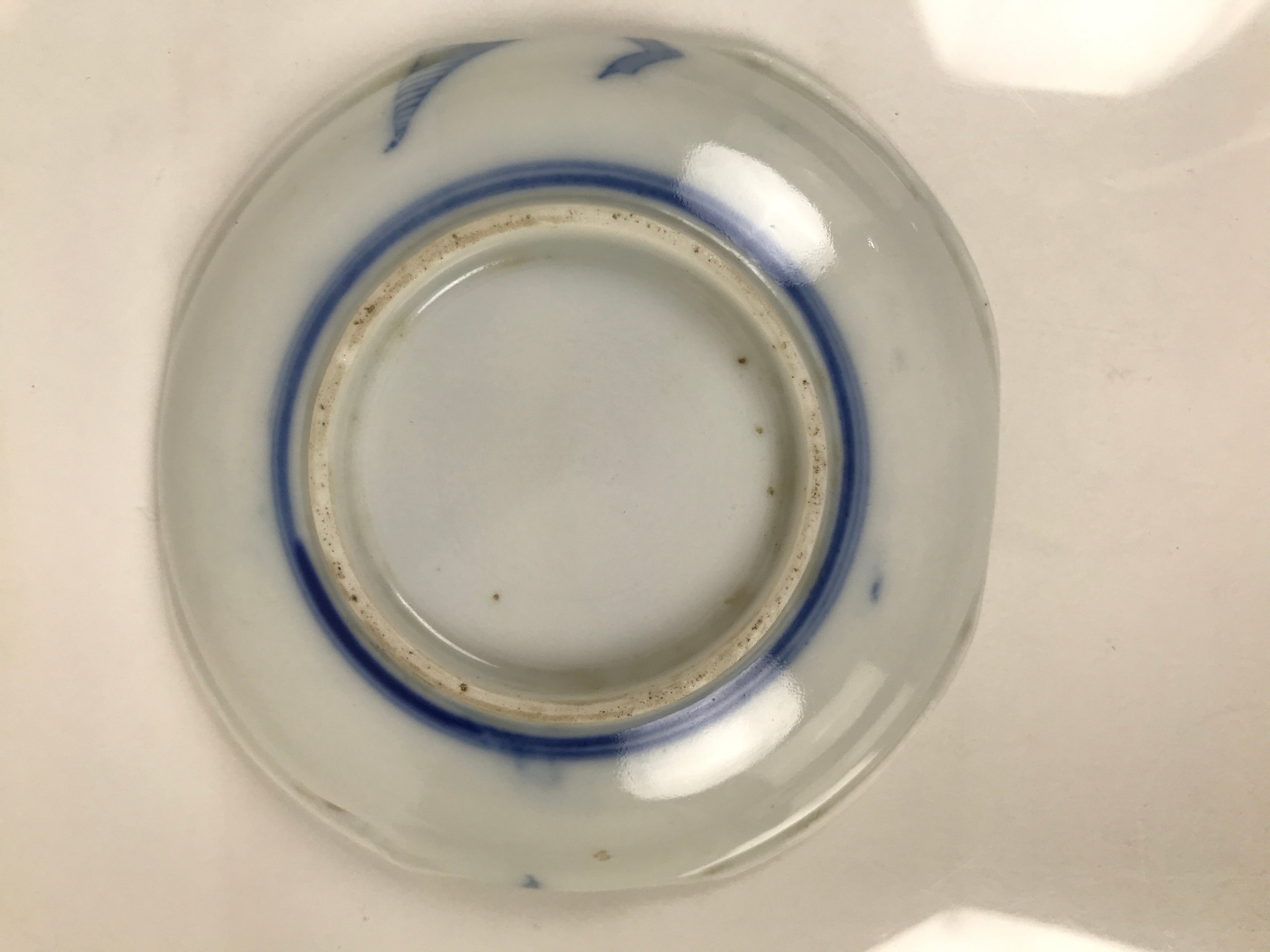 Japanese Porcelain Small Plate Mamezara Side Dish Chestnuts Kuri Blue White Y469