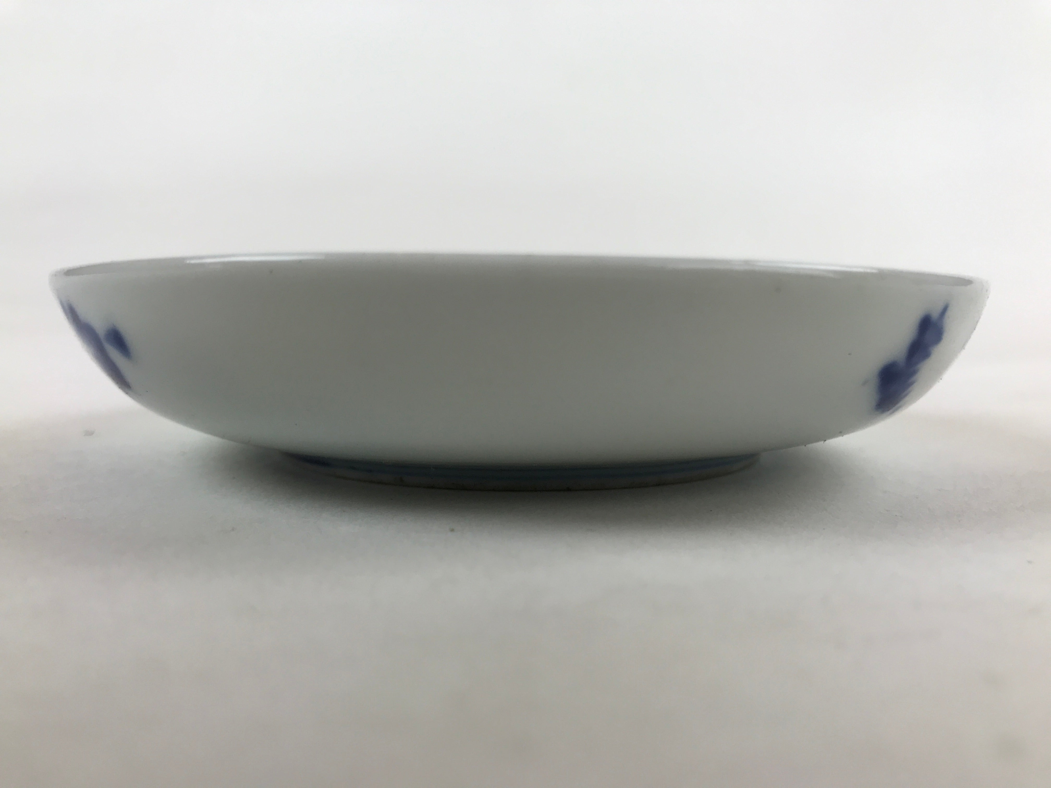 Japanese Porcelain Small Plate Mamezara Vtg Blue White Sometsuke Plants PY628