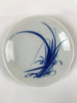 Japanese Porcelain Sometsuke Small Plate Kozara Vtg Grass Plant Blue White PY742