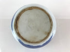 Japanese Porcelain Teapot Vtg Kyusu Pottery Sencha Blue Sometsuke Handle PY150