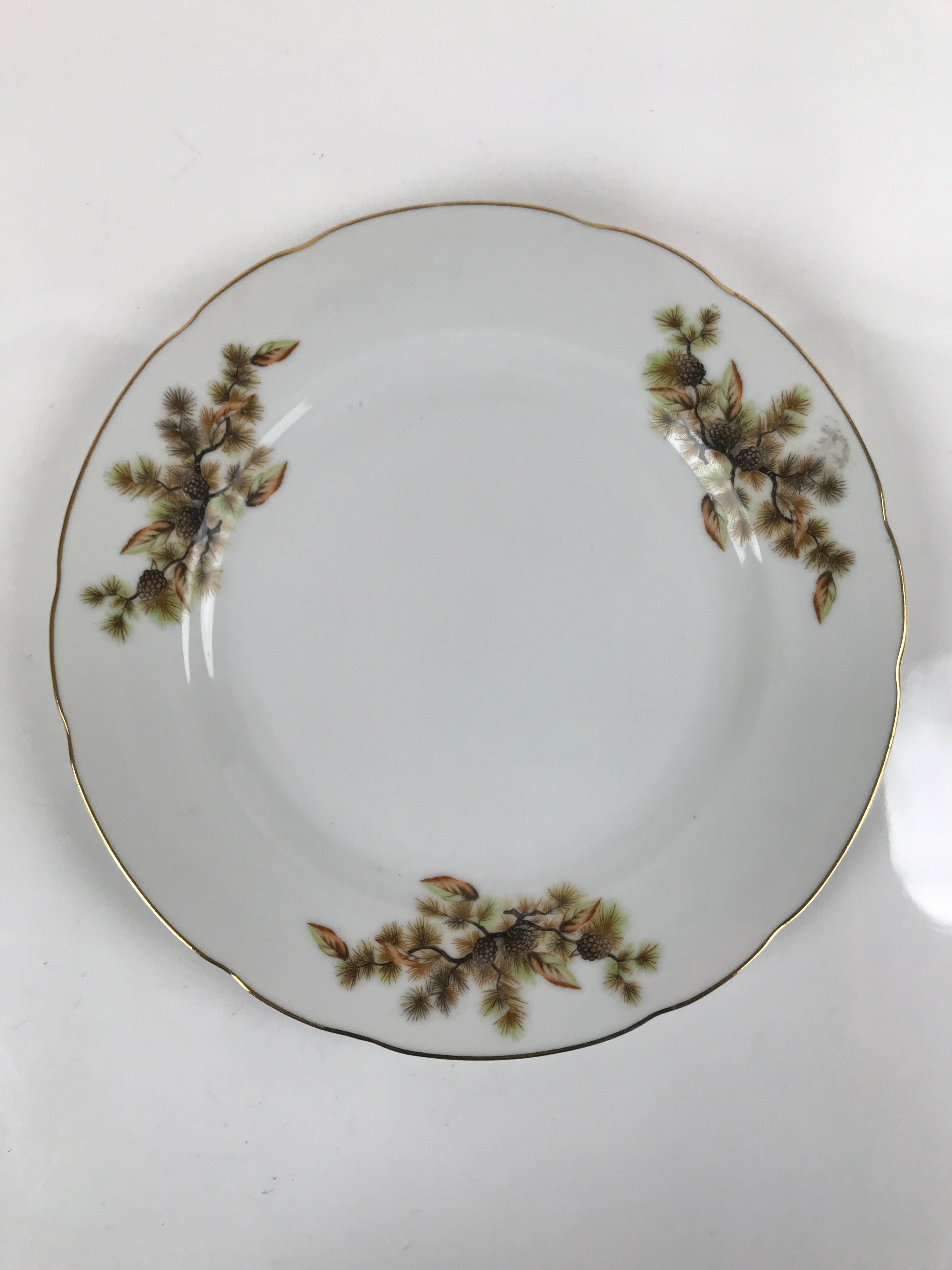 Japanese Porcelain Tono China Plate Vtg Pine Cones Tree Leaves Gold Rim PY815