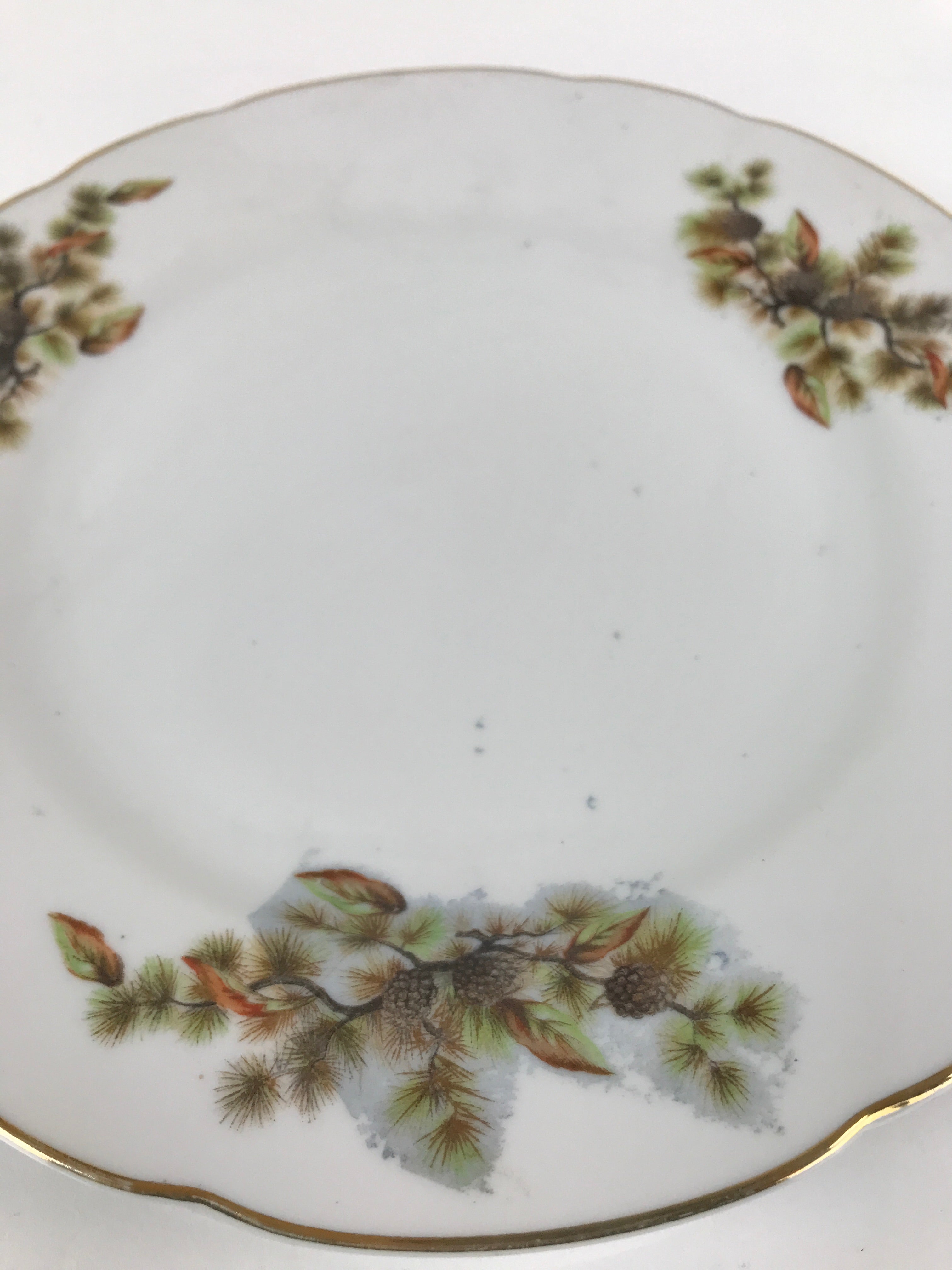 Japanese Porcelain Tono China Plate Vtg Pine Cones Tree Leaves Gold Rim PY816