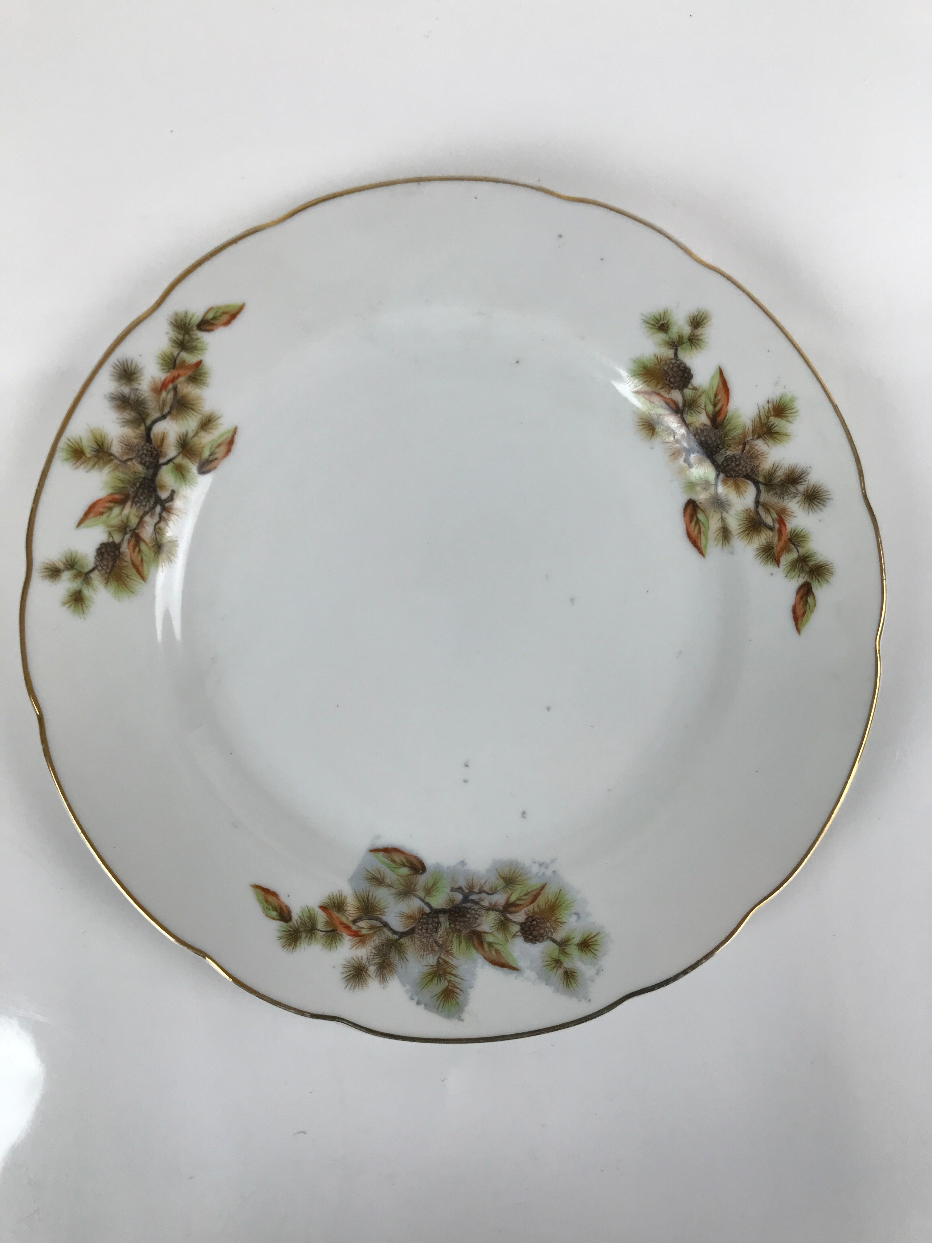 Japanese Porcelain Tono China Plate Vtg Pine Cones Tree Leaves Gold Rim PY816