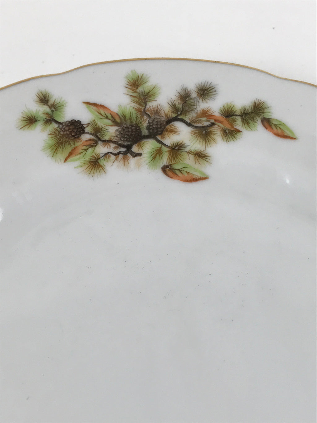 Japanese Porcelain Tono China Plate Vtg Pine Cones Tree Leaves Gold Rim PY817