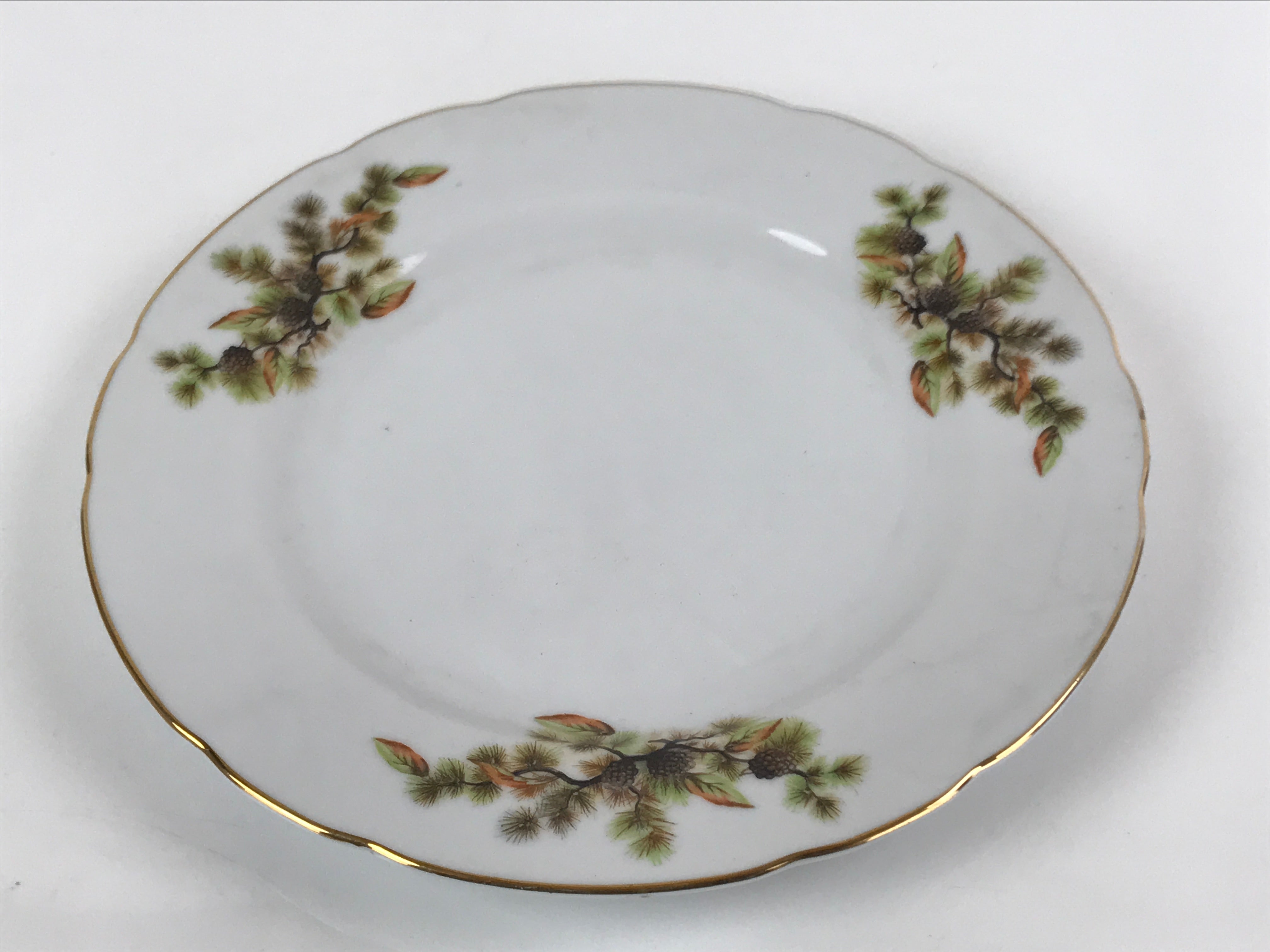 Japanese Porcelain Tono China Plate Vtg Pine Cones Tree Leaves Gold Rim PY817